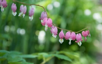 A Prayer for the One Needing God’s Strength