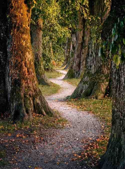 A Blessing for a Grateful Heart