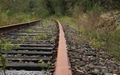 A Prayer for the Long Middle