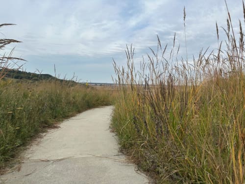 A Prayer for Courage in the Wilderness
