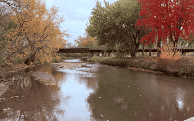 The Longing for Comfort